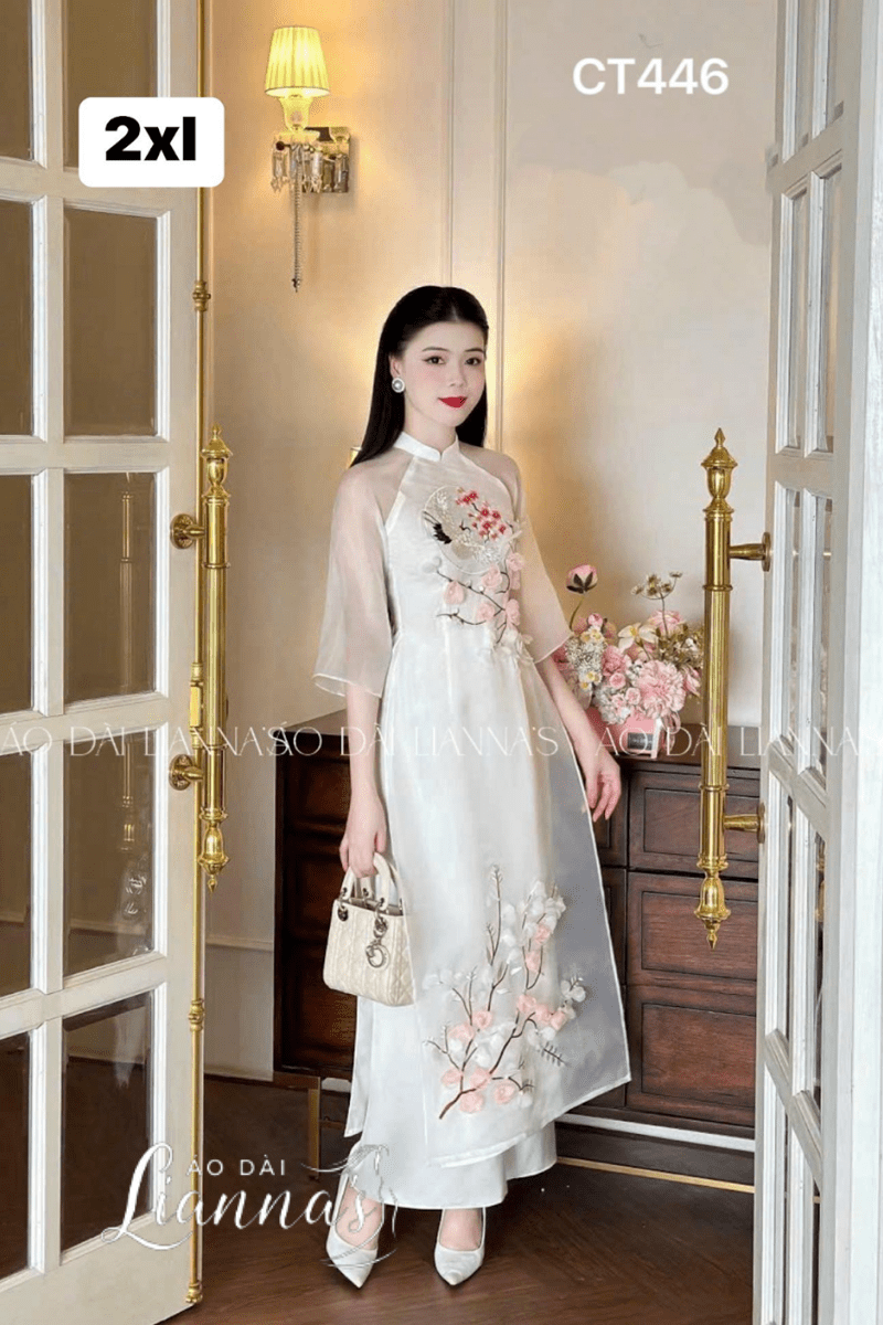 dia chi ban ao dai viet nam tai my 1