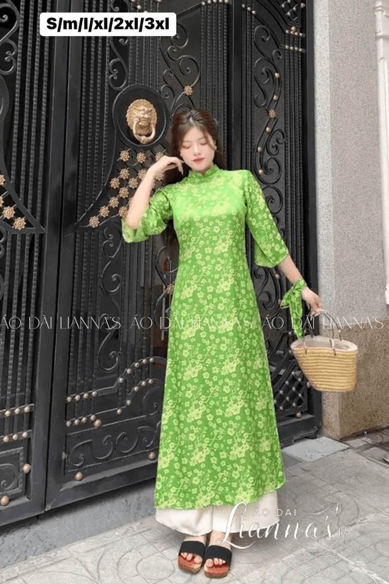 dia chi ban ao dai viet nam tai my 2