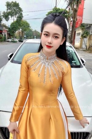 Áo dài vàng valentino đính kết cổ kiotviet 5f6d4634528c4fb5e6718f1e5e377dd2