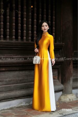 Ao dài thiet kế đính đá viền cổ kiotviet 5fca4a5bde4c51f9add5b95d472066c2