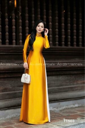 Ao dài thiet kế đính đá viền cổ kiotviet 773798da7da02186972aaaebc49ec660