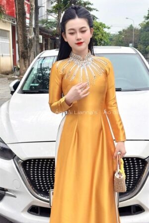 Áo dài vàng valentino đính kết cổ kiotviet 9e3f3a3a56d6b5ec8e54ba033d76a9be
