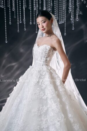 Ball gown wedding dress